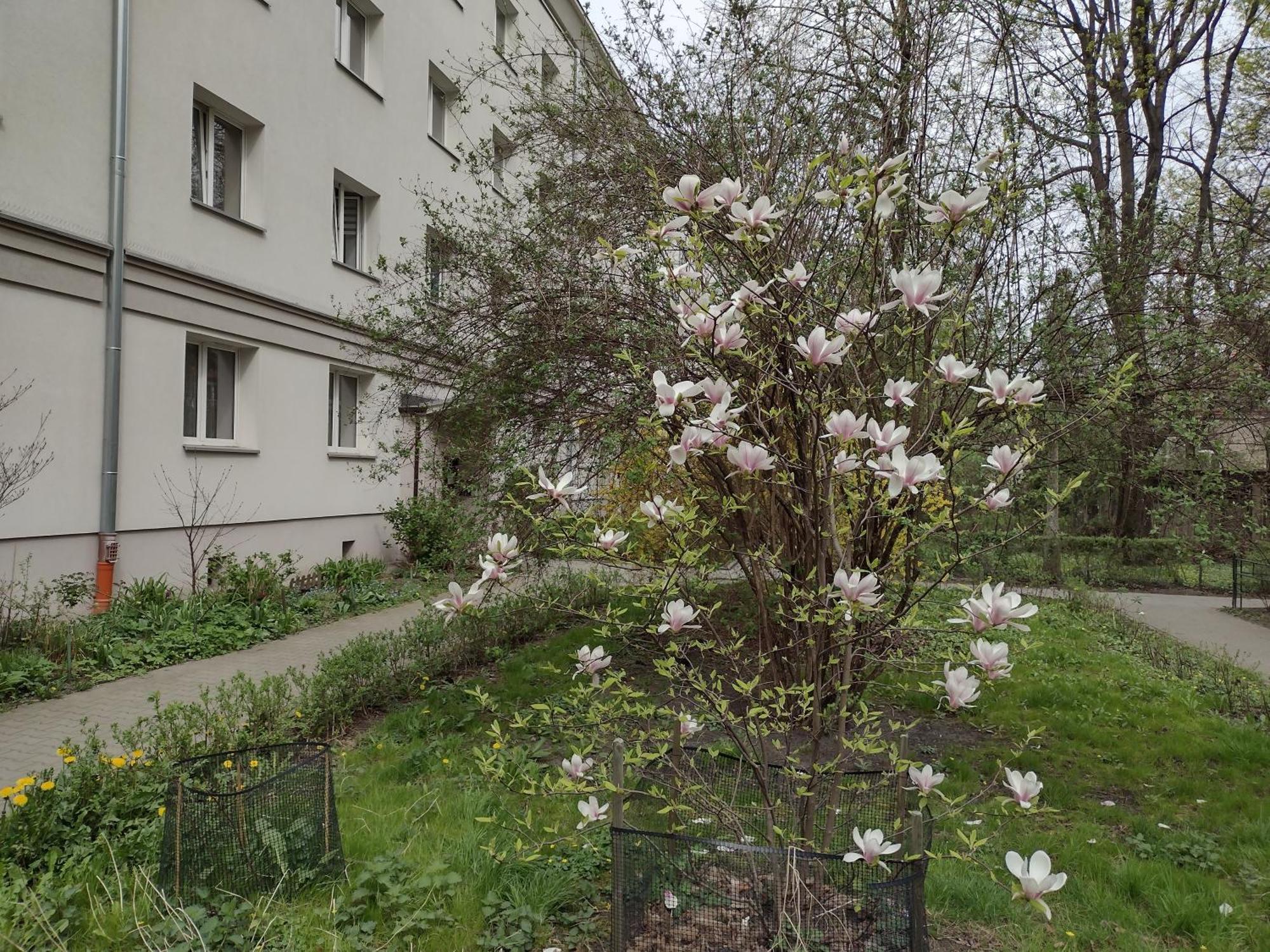 Cracowapart Ignacio A Krakow Ngoại thất bức ảnh
