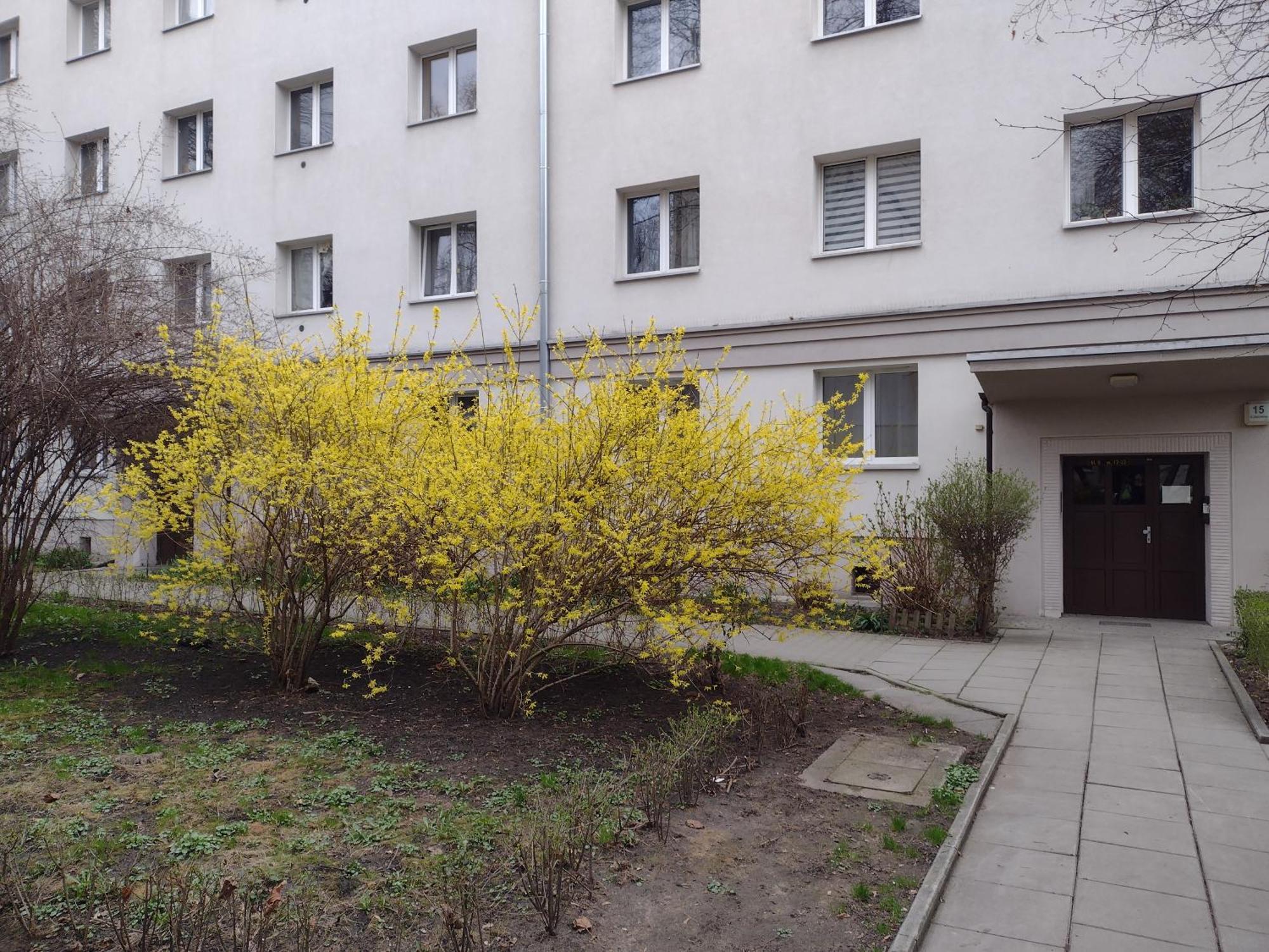 Cracowapart Ignacio A Krakow Ngoại thất bức ảnh